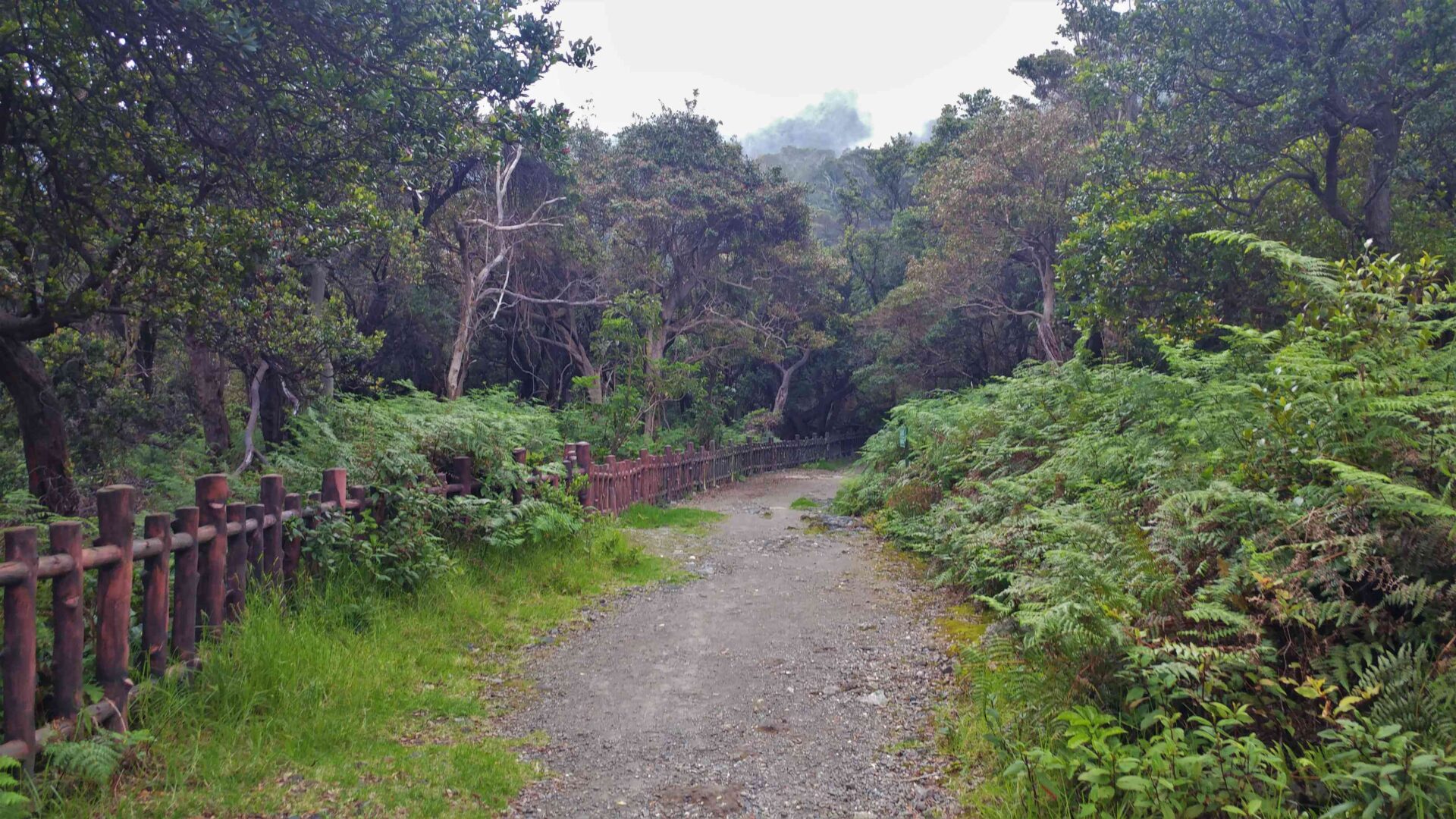 Mount Tangkuban Parahu-12
