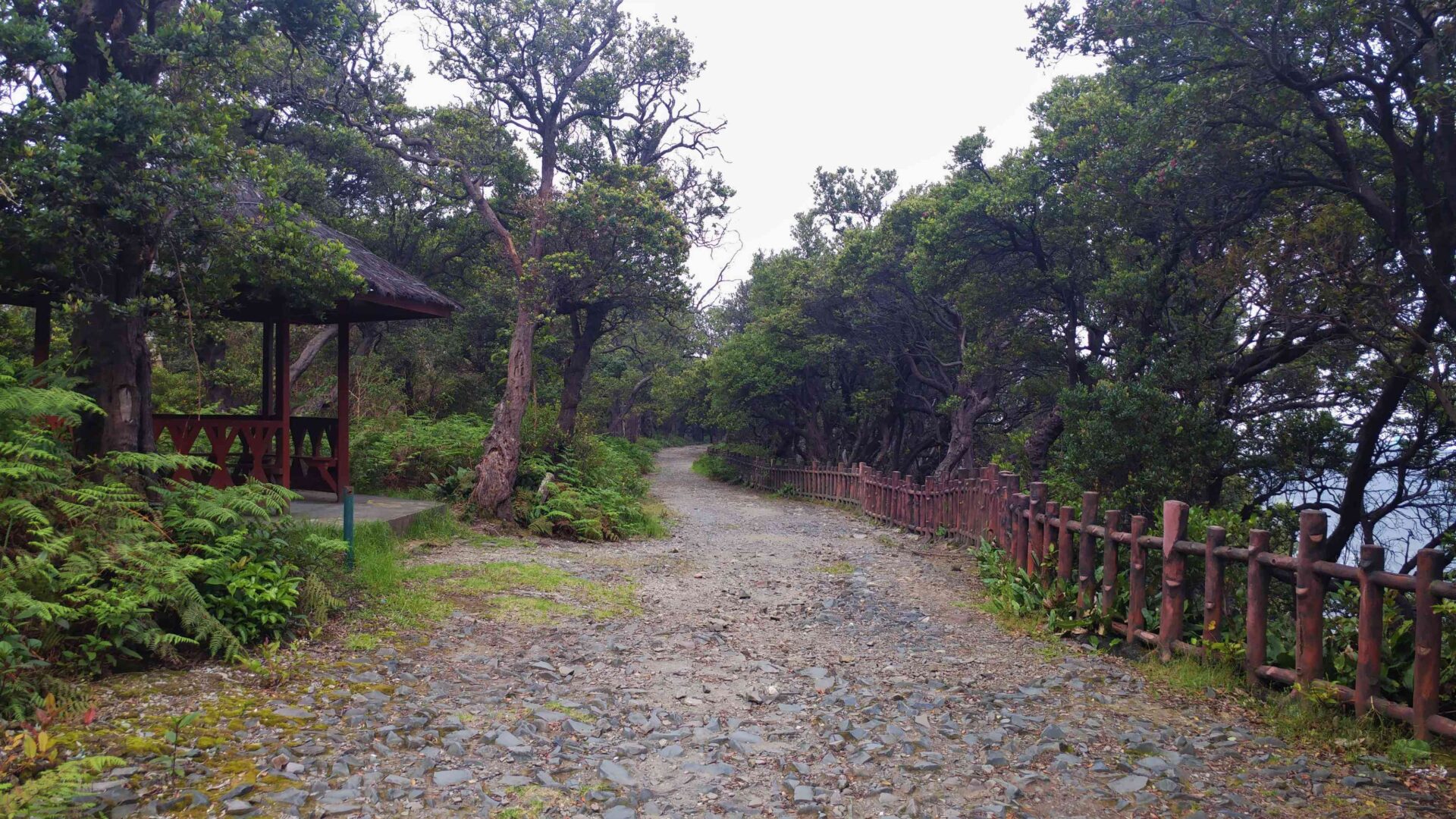 Mount Tangkuban Parahu-11