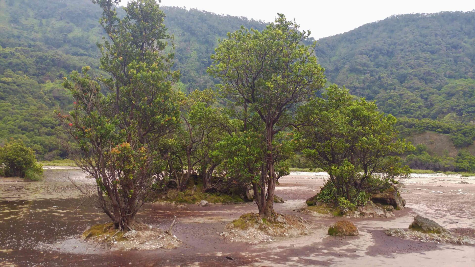 Mount Tangkuban Parahu-04