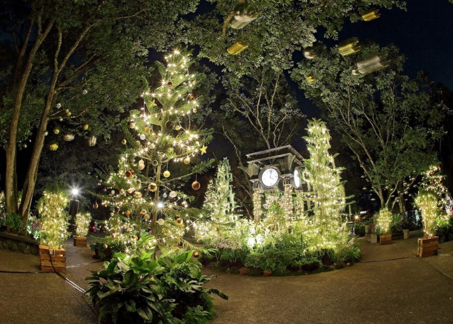 Botanic Gardens